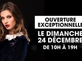 Caviste ouvert à Montpellier dimanche 24 décembre 2017
