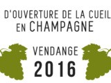 Les dates de la vendange 2016 en Champagne