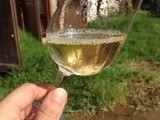 Dégustation du Blanc de Blanc 2013