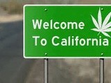 Finding the Best California Medical Marijuana