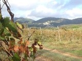 L’automne est arrivé