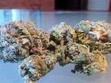 Short Article Reveals the Undeniable Facts About Marijuana Strains and How It Can Affect You