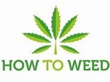 Startling Details Regarding How to Grow Marijuana Indoors Exposed