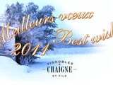 Meilleurs voeux en cette nouvelle année 2011