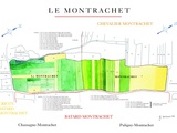 Climat Grand Cru : Montrachet à Chassagne et Puligny