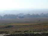 Entre mythe et réalité: Le Corton Clos du Roi