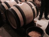 In situ : Le Domaine de la Romanée Conti