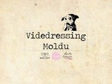 Videdressing Moldu