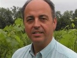 Vin et changement climatique: l'avis d'Hervé Romat