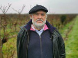 Bordeaux : 1 hectare de vigne peut se vendre 5000 euros, le même prix qu’1 m2 dans l’immobilier, un phénomène toutefois assez exceptionnel