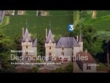 Des Racines et des Ailes ce soir à 20h55 : « en Gironde, des vignobles aux grands lacs »