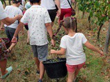 Domaine de Siorac en Dordogne: « on a hâte de revoir des visiteurs sur notre vignoble… »