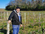 Dossier vigne et vin : quels travaux à la vigne et au chai l’hiver