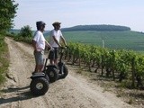 #insolite : une petite balade à la découverte du vignoble du Haut-Mâconnais en gyropodes