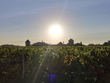 La question du réchauffement climatique pour le vignoble de Bordeaux : « sous le soleil exactement… »