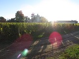 Lumières d’automne en Bordelais