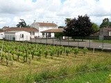 Plus de 82500 signatures pour la pétition «traitez en Bio toutes les zones agricoles situées le long des écoles », elle sera remise au préfet Pierre Dartout