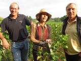 Smith Haut Lafitte : 7e des « World’s Best Vineyards » 2020