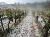 Un orage de grêle s’abat sur l’Hérault