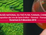 Vins de Saint-Emilion et Thés de Pu’Er : des boissons millénaires ou « quand les civilisations du thé et du vin se rejoignent »