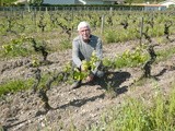 Viticulture : petit ou grand, voici deux châteaux qui sont passés en bio et biodynamie