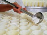 Matériel de fromagerie pour fabriquer le fromage
