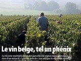 Le vin belge et les cépages résistants in  Le vif Week-End 