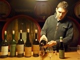Visite chez Quintarelli