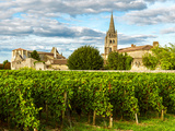 2019 à Bordeaux :  un très grand millésime
