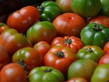 Accords mets et vins : la tomate dans tous ses états