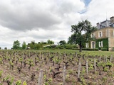 Bordeaux 2020 | Château Haut-Bailly : « Dessine-moi un chai.. »