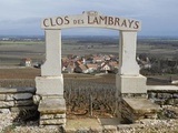 Clos de Tart et Clos des Lambrays : deux mythes voisins mais pourtant uniques