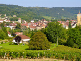 Domaine du Pélican | Quand la Bourgogne rencontre le Jura