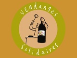 Enchères caritatives | Les Vendanges Solidaires 7ème édition
