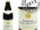 Foire aux vins iDealwine – Le vin du jour : Hautes-Côtes-de-Nuits 2006, Domaine Jayer-Gilles