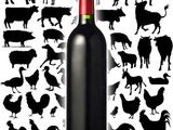Le vin au Salon de l’Agriculture