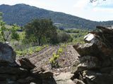 Offre iDéale a la découverte des vins de côte du Roussillon