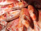 Recette de la semaine : Filets de rougets à la provençale