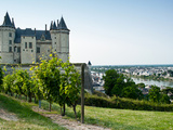 Vins de Loire | Appellations et terroirs