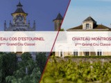 Idée de placement : Cos d’Estournel et Montrose, deux Châteaux d’exception