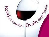 Commentaires sur Foire aux vins Carrefour 2011 (7 septembre au 18 septembre) : la sélection de Gérard (Mansoif) par Le gout du Vin