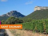 Domaine St Daumary – Pic Saint Loup