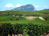 Le vin français au Patrimoine immatériel de l’Unesco