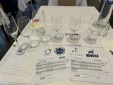 Meilleurs vins belges 2025 : le palmarès
