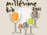 Millésime bio 2011 : l’envol des vins bio