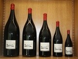 Visite au Mas de Daumas Gassac