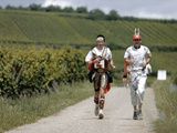 Les marathons des vignes en 2012