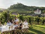 Vignobles du monde : l’Autriche
