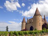 Visiter les vignobles de France avec un budget serré