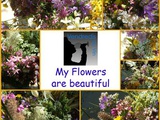 VDVs 49 : My flowers are beautiful